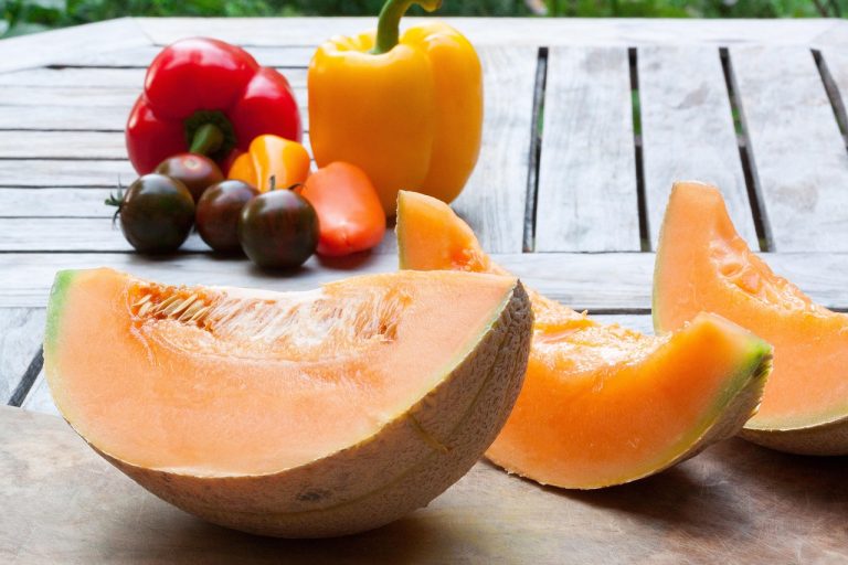 melon, disc, knife, ceramic, tomato, paprika, red, yellow, garden table, melon, melon, melon, melon, melon