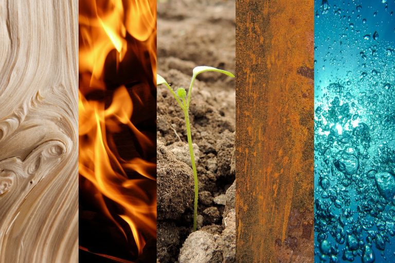 five elements, wood, fire, earth, nature, metal, water, departure, design, fruit formation, mature, quiet, process flow, cycle, character studies, chinese philosophy, the five elements