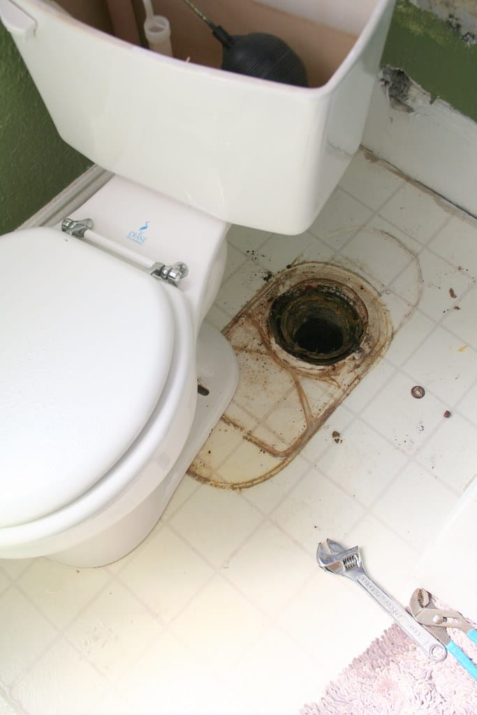 Toilet Clog